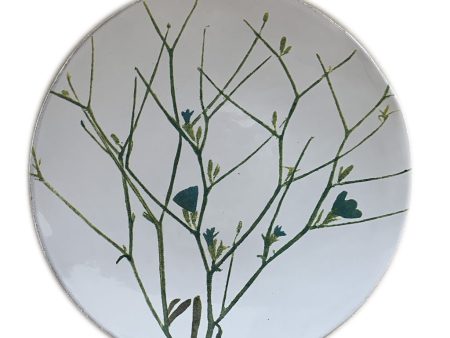 Cichorium Plate Online Hot Sale