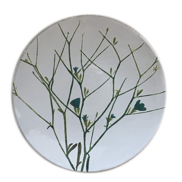 Cichorium Plate Online Hot Sale