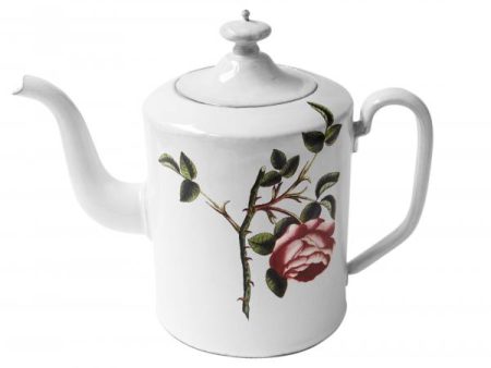 Rosa Centilolia Teapot For Sale