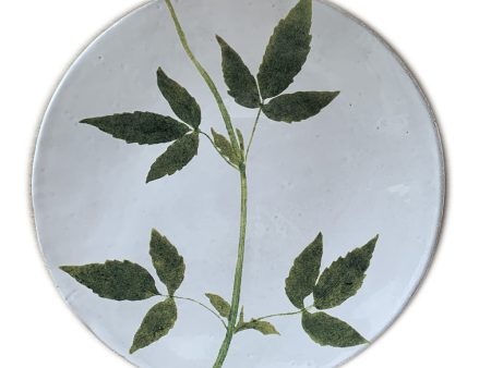 Jasminum Plate Online