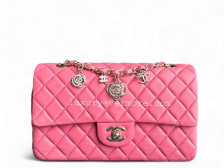 Chanel Classic Flap Medium - Vanitine Single Flap Quilted Lambskin Sakura Pink Golden Hardware Seires 19 Supply