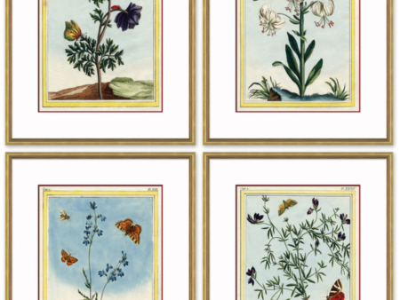 Botanicals (Set of Four) Online Sale